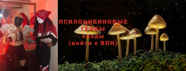 таблы Михайлов