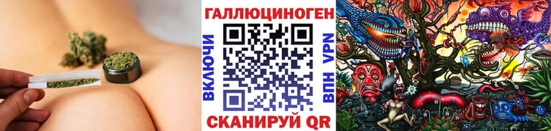 где купить наркоту  Нерехта  Псилоцибиновые грибы Psilocybe 